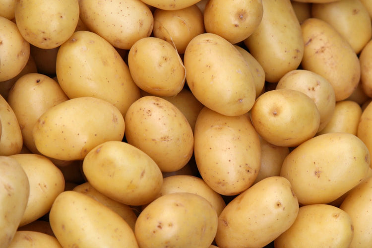 Pommes de terre de calibres moyens à la récolte - Bon Plant Pomme de Terre