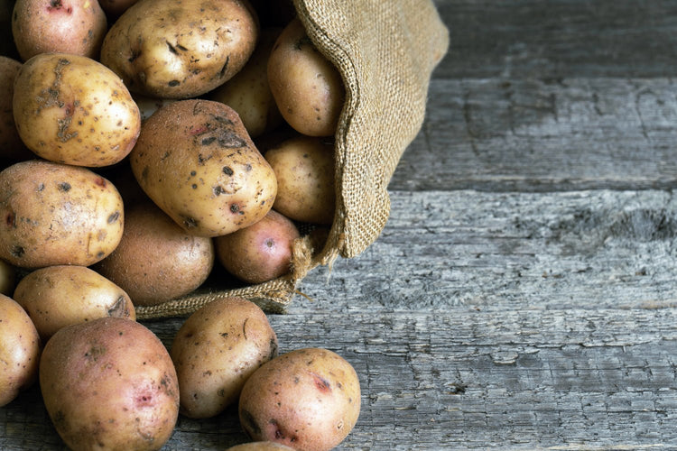 Pommes de terre les plus populaires - Bon Plant Pomme de Terre