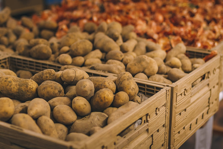Tous les plants de pommes de terre et bulbes potagers - Bon Plant Pomme de Terre