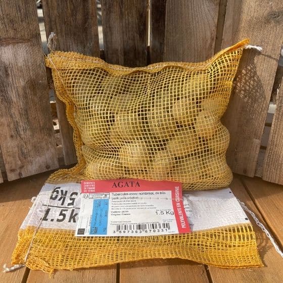 Plants de pomme de terre Agata - Sac de 1,5Kg - calibre 28-35mm - Bon PLant Pomme de Terre