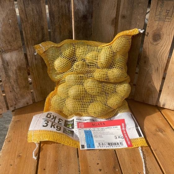 Pomme de terre Agata - Sac de 3Kg - calibre 35-45mm - Bon Plant Pomme de Terre