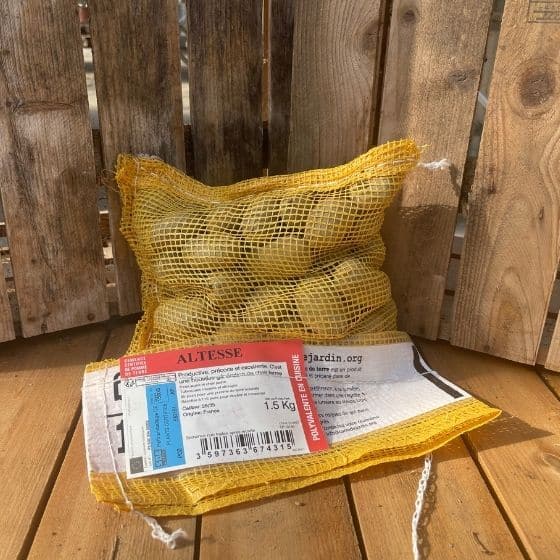 Pomme de terre Altesse - Sac de 1,5Kg - calibre 28-35mm - Bon Plant Pomme de Terre