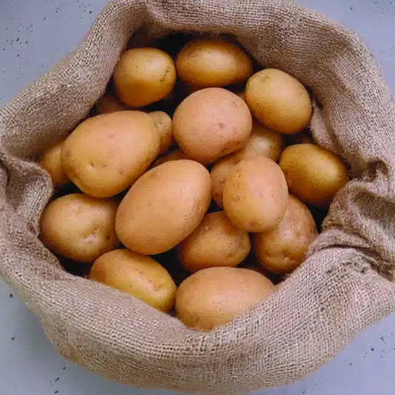 Pomme de terre Anais - Bon Plant Pomme de Terre
