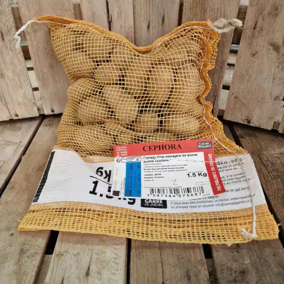 Pomme de terre Cephora - Sac de 1.5Kg - Calibre 28-35mm - Bon Plant Pomme de Terre