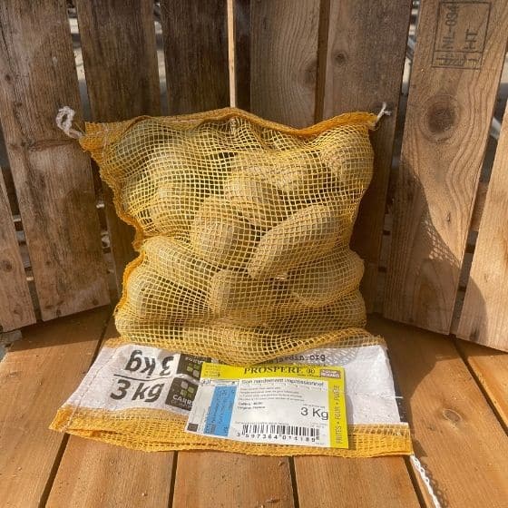 Pomme de terre Prospere - Sac de 3Kg-calibre 40-50mm - Bon Plant Pomme de Terre