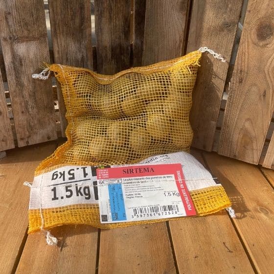 Pomme de terre Sirtema - Sac de 1,5Kg - calibre 35-40mm - Bon Plant Pomme de Terre