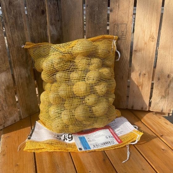 Pomme de terre Sirtema - Sac de 5Kg - calibre 40-50mm - Bon Plant Pomme de Terre