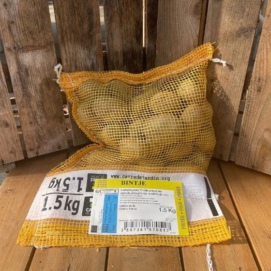 Pomme de terre Bintje - Sac de 1,5Kg -calibre 35-45mm - Bon Plant Pomme de Terre
