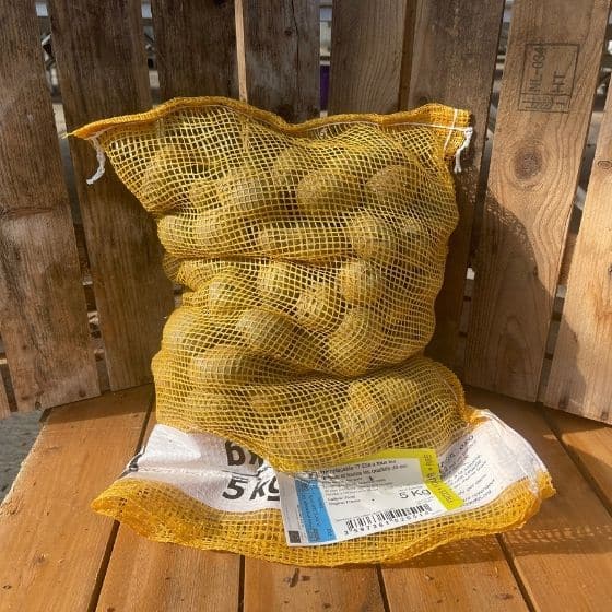 Pomme de terre Bintje - Sac de 5Kg -calibre 35-45mm - Bon Plant Pomme de Terre