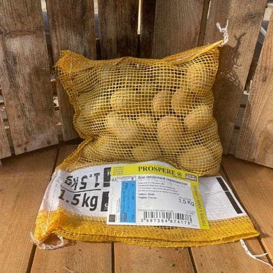 Pomme de terre Prospere - Sac de 1,5Kg - calibre 25-40mm - Bon Plant Pomme de Terre