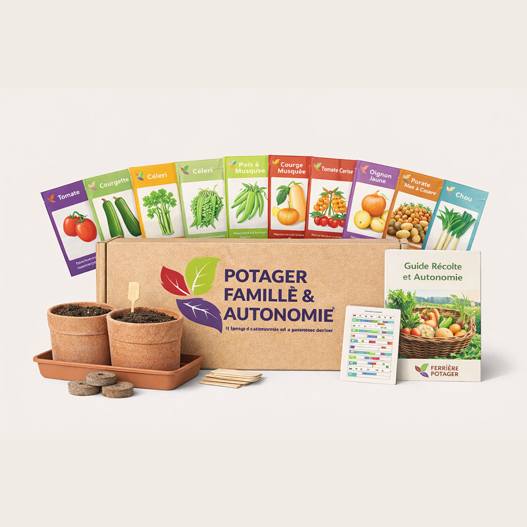 BOX 4 — Potager Famille & Autonomie