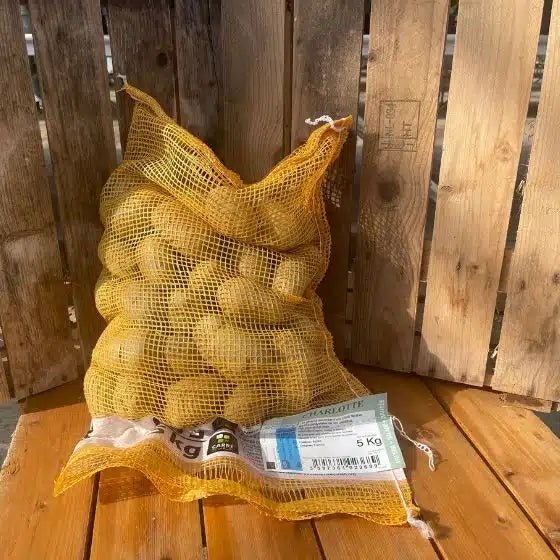 Pomme de terre Charlotte - sac de 5 Kg - Calibre 35/452 mm - Bon Plant Pomme de Terre