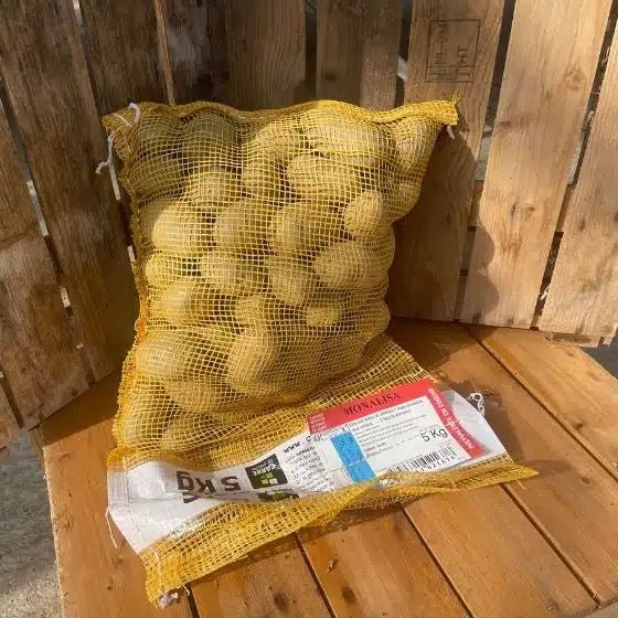 Pomme de terre Monalisa - Sac de 5 Kg - Calibre 35/45 mm - Bon Plant Pomme de Terre