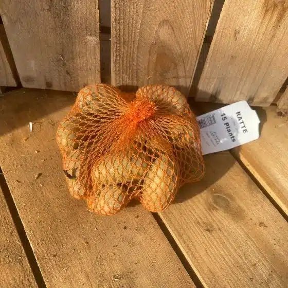 Pomme de terre Ratte - Filet de 15 plants germés calibre 25-32 mm - Bon Plant Pomme de Terre