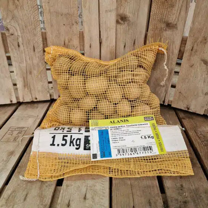 Pomme de terre Alanis - Sac de 1,5Kg - Calibre 28-35mm - Bon Plant Pomme de Terre