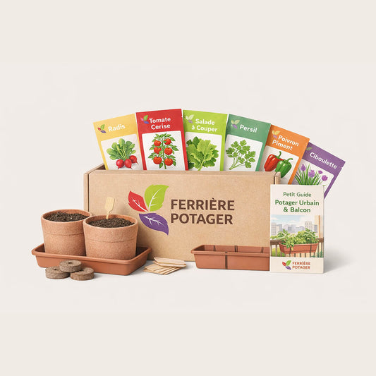 BOX 2 — “Potager Urbain & Balcon”