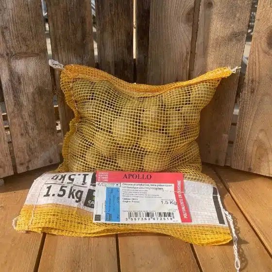 Pomme de terre Apollo - Sac de 1,5 Kg - Calibre 28/35 mm - Bon Plant Pomme de Terre