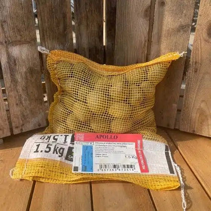 Pomme de terre Apollo - Sac de 1,5 Kg - Calibre 28/35 mm - Bon Plant Pomme de Terre